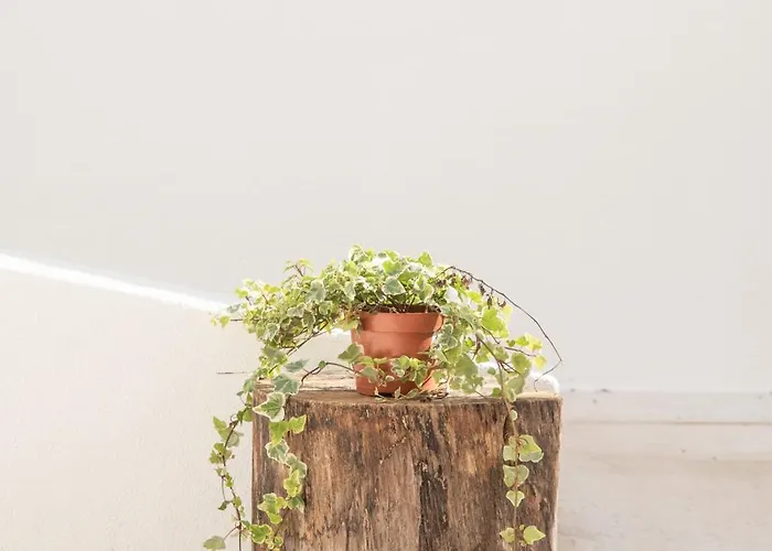 Relax House Lejlighed